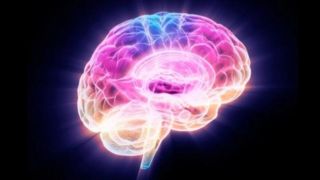 این پروتئین مغز را پیر می‌کند  