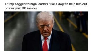 منبع آگاه در واشنگتن: ترامپ برای رهایی از بن‌بست مثل سگ التماس می‌کرد           