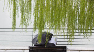 ورود سامانه بارشی از ظهر امروز به کشور