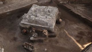 یک کشف مخوف!