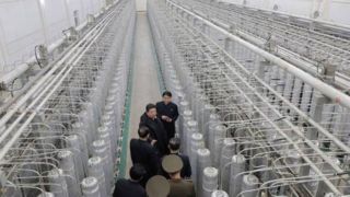 گروسی: کره‌شمالی در حال سرعت بخشیدن به ظرفیت تسلیحات اتمی است