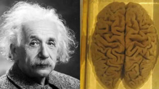 ماجرای دزدی مغز دانشمند بزرگ