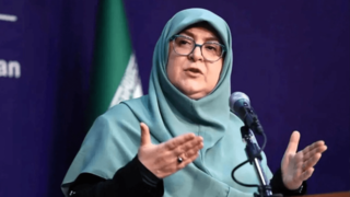 مهاجرانی: دولت تدابیری برای افزایش رقم کالابرگ دارد