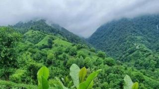 تصاویری از طبیعت چشم‌نواز گیلان