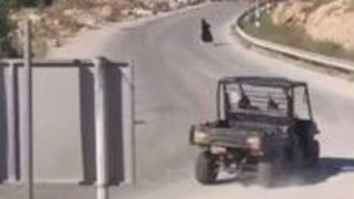 تلاش یک شهرک نشین برای زیر گرفتن یک زن فلسطینی