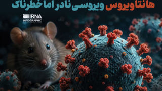 هانتا ویروس؛ ویروسی نادر اما خطرناک