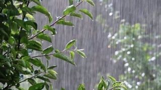 احتمال رگبار باران و وزش باد شدید در برخی نقاط کشور طی امروز