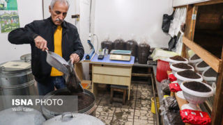 برگ سبز چای؛ از مزرعه تا چایخانه