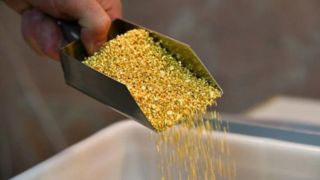 طلا روی ترمز افزایش قیمت زد طلا روی ترمز افزایش قیمت زد