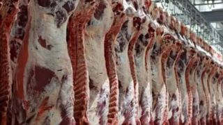 گزارش میدانی از بازار گوشت/ قیمت از میادین تا فروشگاه‌ها چه تفاوتی دارد؟