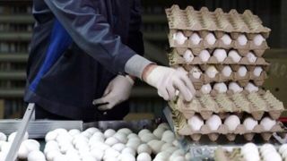 قیمت واقعی تخم‌مرغ چقدر است؟/ فاصله ۱۸۱ هزار تومانی تا نرخ فروش
