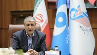 رییس سازمان انرژی اتمی: هرگز متوقف نخواهیم شد رییس سازمان انرژی اتمی: هرگز متوقف نخواهیم شد