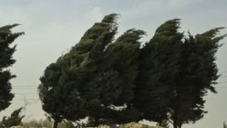 هشدار نسبت به وزش باد خیلی شدید در تهران/ کاهش دما تا ۴ درجه