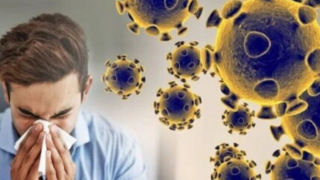 گردش ویروس کرونا در پاییز افزایش یافته است گردش ویروس کرونا در پاییز افزایش یافته است