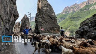 جاده چالوس بطور موقت مسدود می شود جاده چالوس بطور موقت مسدود می شود