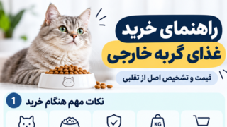 بهترین غذای گربه خارجی