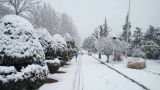 ماجرای سالی که در ایران ۳ متر برف بارید