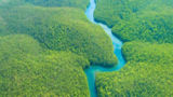 شکوه جنگل‌ آمازون از منظر فضا
