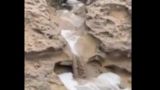 تصاویری دیدنی از سرازیرشدن آبشار از کوه‌های بندرعباس