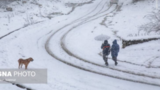 بارش برف زمستانی سوادکوه