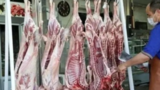 عرضه گوشت ارزان‌ از امروز