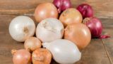 انواع پیاز و کاربردشان/ اینفوگرافی انواع پیاز و کاربردشان/ اینفوگرافی