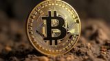 هوش مصنوعی مقصر کاهش قیمت بیتکوین است؟ هوش مصنوعی مقصر کاهش قیمت بیتکوین است؟