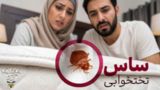 ساس چیست و چگونه برای همیشه از شر ساس تختخواب خلاص شویم؟ (راهنمای کامل) ساس چیست و چگونه برای همیشه از شر ساس تختخواب خلاص شویم؟ (راهنمای کامل)