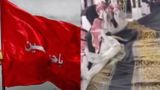 از مکه تا کربلا؛ یک پرچم فاصله است؛ پرچم سرخ «هیهات‌من‌الذله»