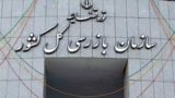 سازمان بازرسی تنها نیست؛ دولت با متخلفان برخورد کند!