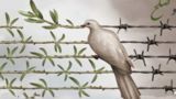 معنای صلح در قرآن معنای صلح در قرآن