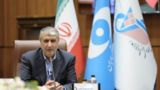 رییس سازمان انرژی اتمی: هرگز متوقف نخواهیم شد رییس سازمان انرژی اتمی: هرگز متوقف نخواهیم شد